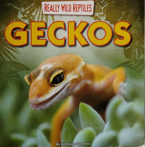 Geckos