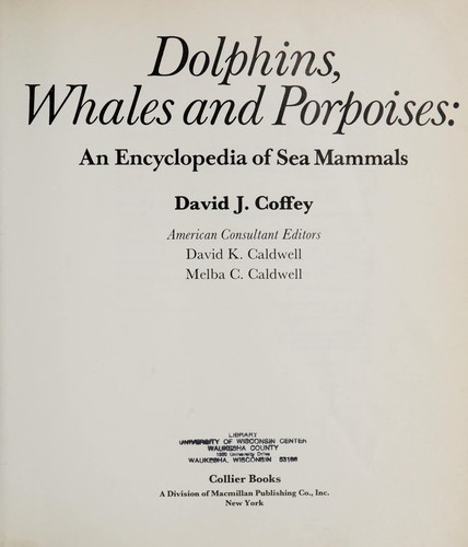 Dolphins, Whales, and Porpoises