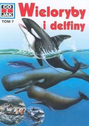 Wieloryby i delfiny
