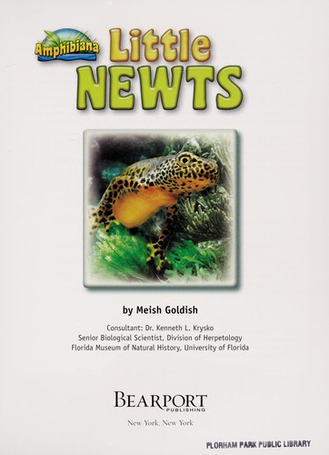 Little Newts