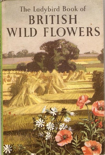 British Wild Flowers