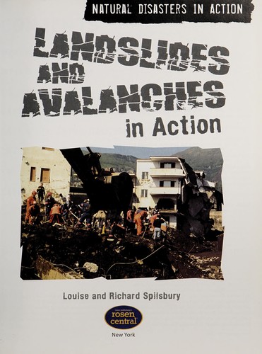 Landslides and avalanches in action