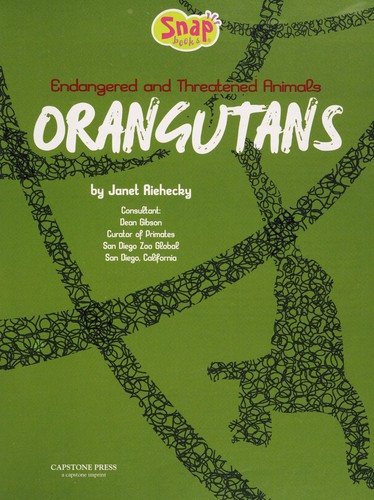 Orangutans
