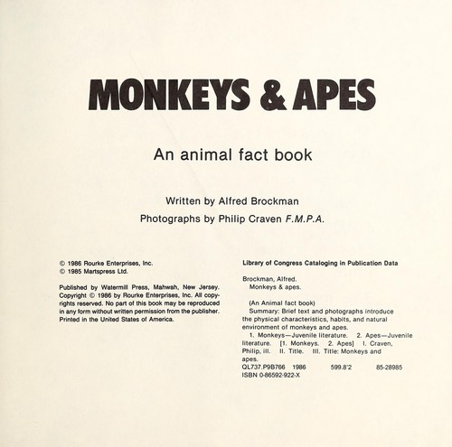 Monkeys & apes