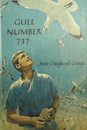 Gull Number 737