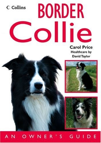 Border Collie: An Owner's Guide