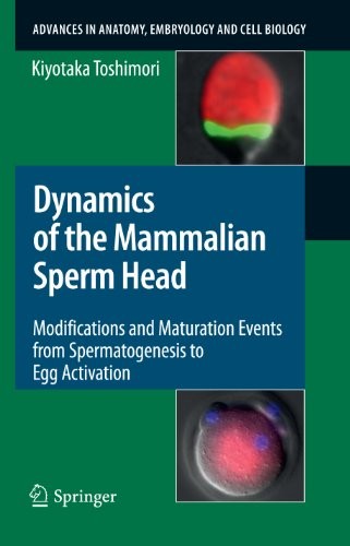 Dynamics of the Mammalian Sperm Head: Modifications and Maturation Events From Spermatogenesis to Egg Activation