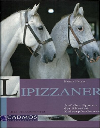 Lipizzaner