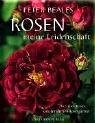 Rosen - meine Leidenschaft
