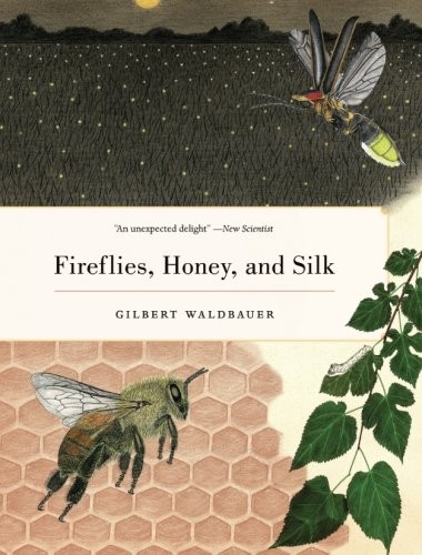 Fireflies, Honey, and Silk