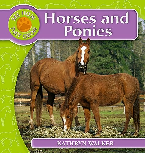 Horses and Ponies