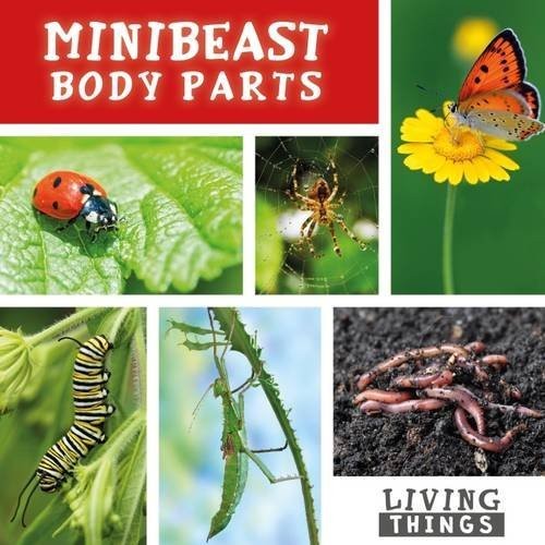 Minibeast Body Parts (Living Things)