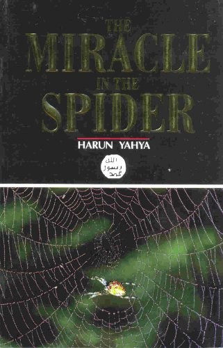 Miracle in the Spider