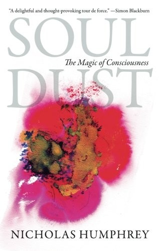 Soul Dust: The Magic of Consciousness