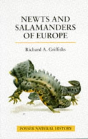 Newts and salamanders of Europe