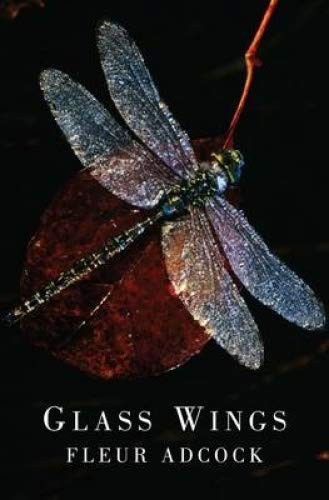 Glass Wings