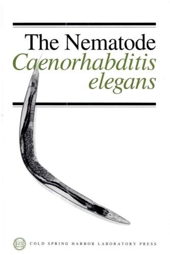 The nematode caenorhabditis elegans