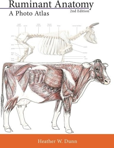 Ruminant Anatomy: A Photo Atlas