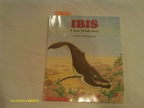 Ibis a True Whale Story