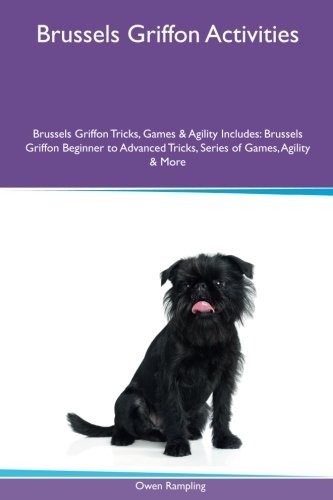 Brussels Griffon Activities: Brussels Griffon Tricks, Games & Agility