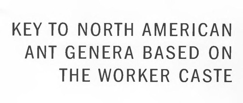 Ants of North America