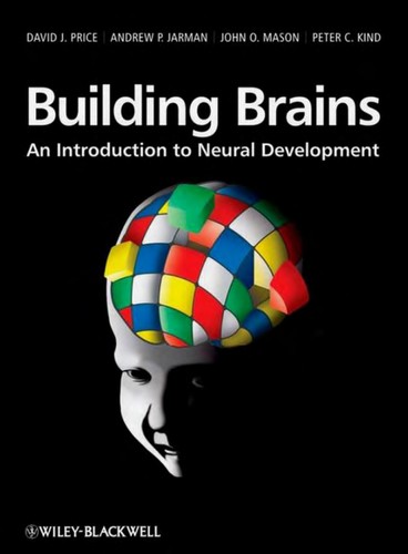 Building Brains