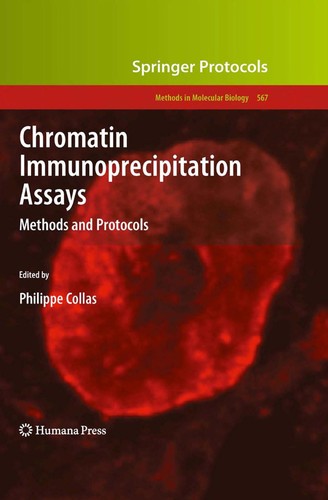 Chromatin immunoprecipitation assays