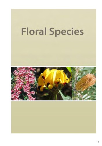 A field guide to native flora used by honeybees in Tasmania
