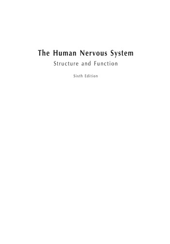 The human nervous system