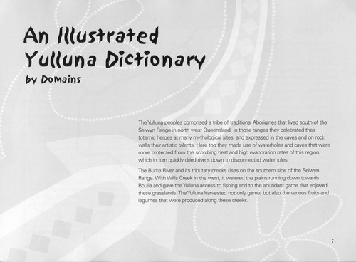 An illustrated dictionary of Yulluna by domains