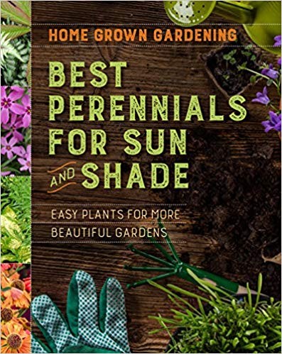 Best Perennial For Sun and Shade