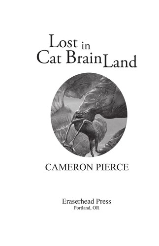 Lost in cat brain land