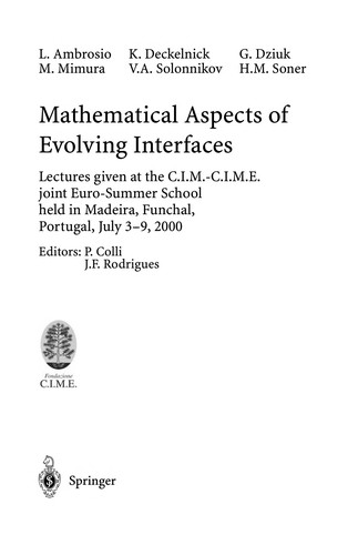 Mathematical aspects of evolving interfaces