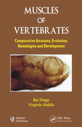 Muscles of vertebrates