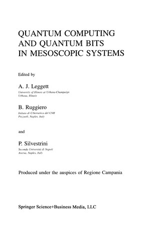 Quantum Computing and Quantum Bits in Mesoscopic Systems