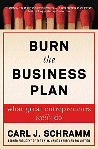 Burn the business plan
