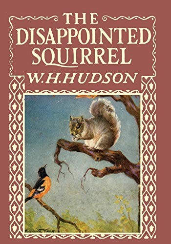 The Disappointed Squirrel