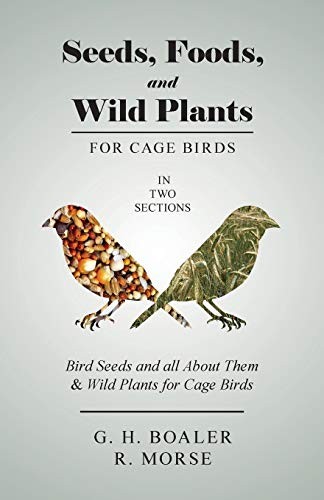 Seeds, Foods, and Wild Plants for Cage Birds