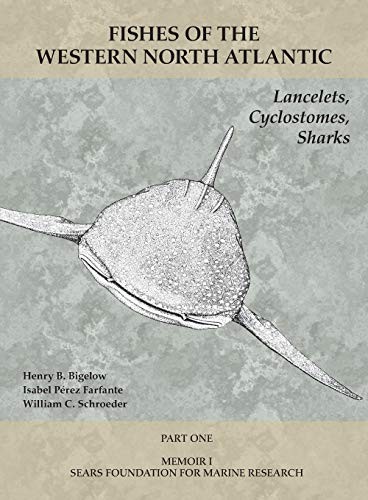 Lancelets, Cyclostomes, Sharks