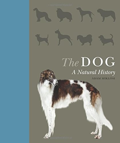 The Dog