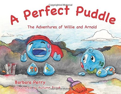 A Perfect Puddle