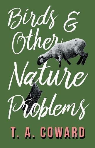 Bird and Other Nature Problems