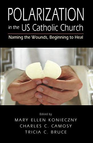 Polarization in the US Catholic Church