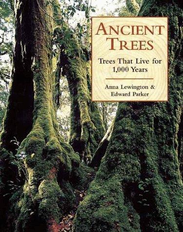 Ancient Trees