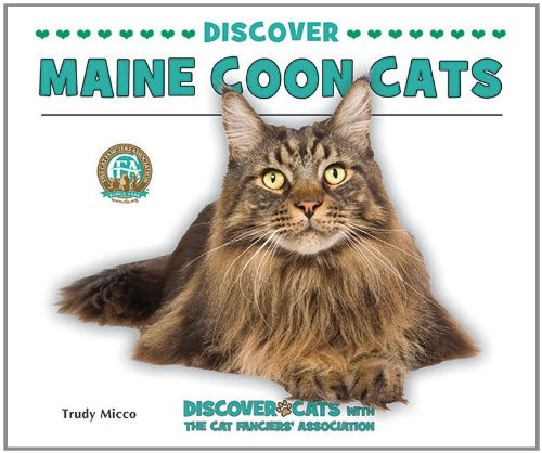 Discover Maine Coon Cats