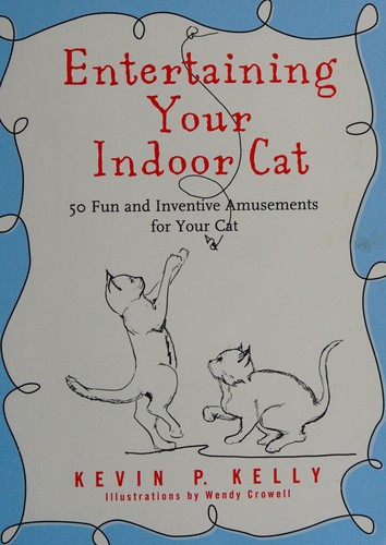 Entertaining Your Indoor Cat