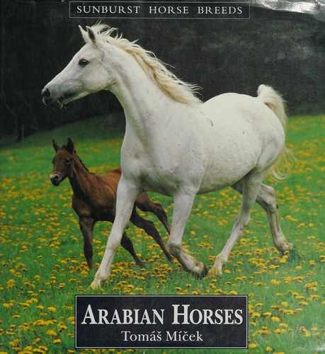 Arab horses