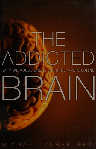 The Addicted Brain