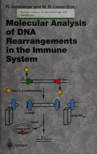 Molecular Analysis of DNA Rearrangements in the Immune System