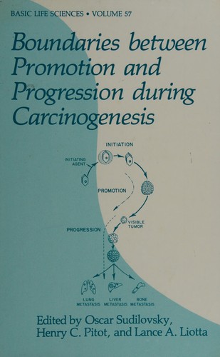 Boundaries Between Promotion and Progression During Carcinogenesis